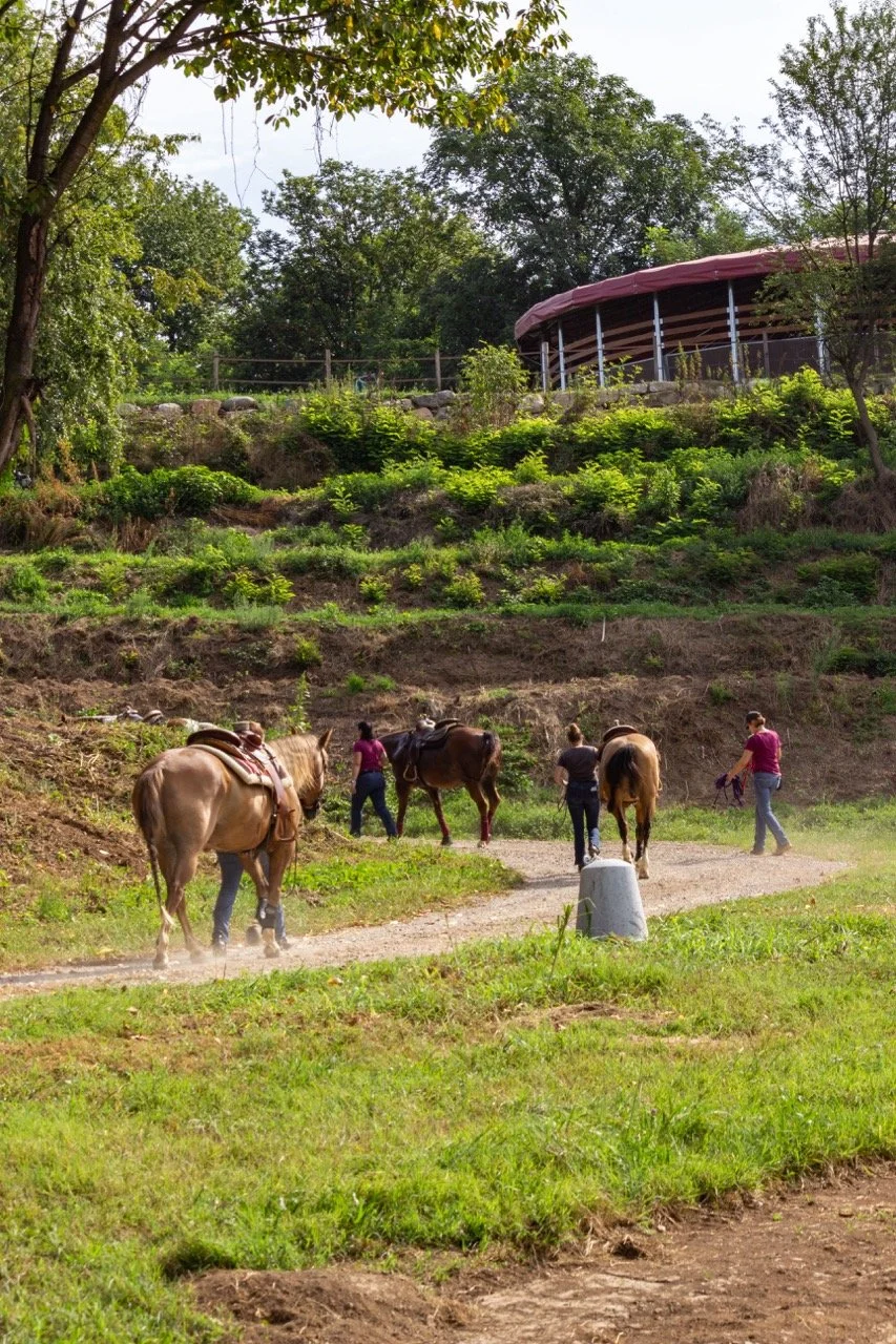 IMG_9274 - dimensioni grandi.jpeg