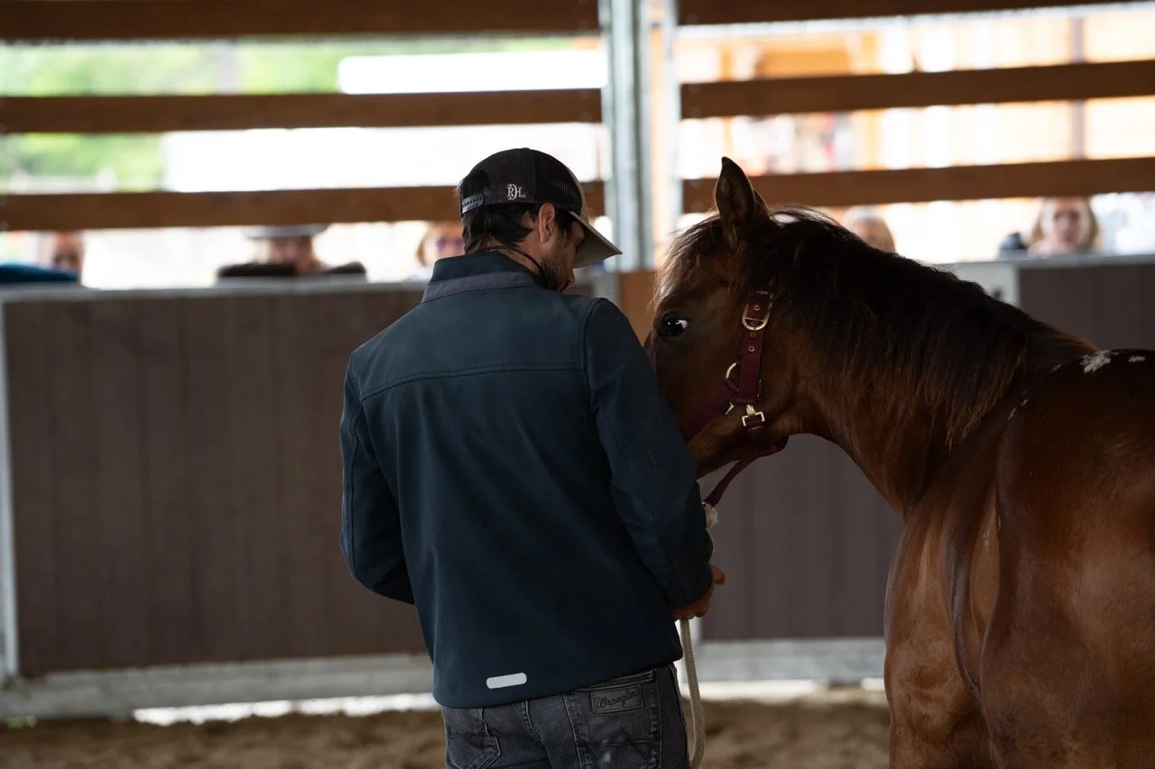 DSC06868 - dimensioni grandi.jpeg