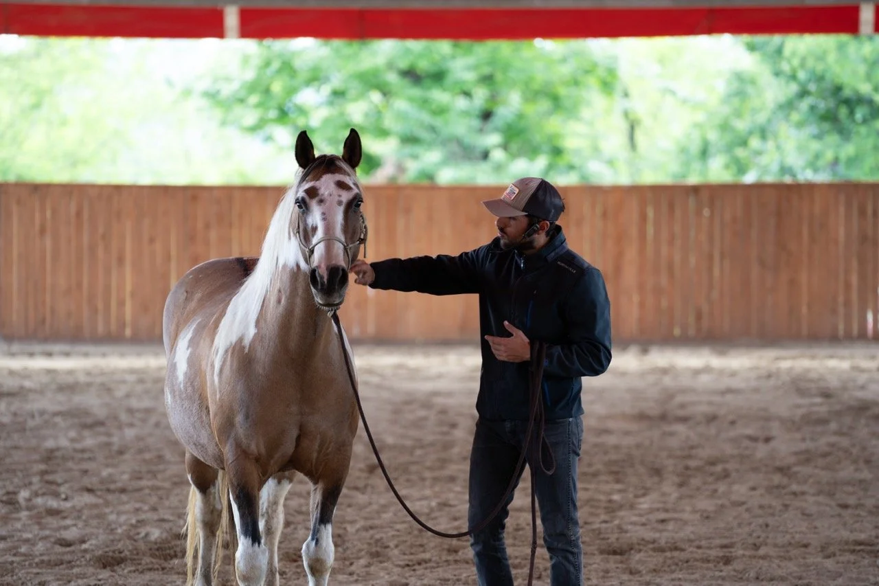 DSC06941 - dimensioni grandi.jpeg