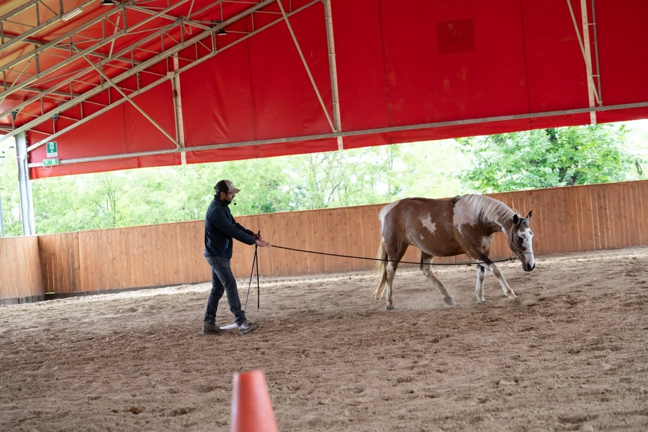 DSC06892 - dimensioni grandi.jpeg