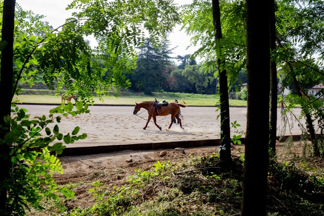 IMG_9002 - dimensioni grandi.jpeg