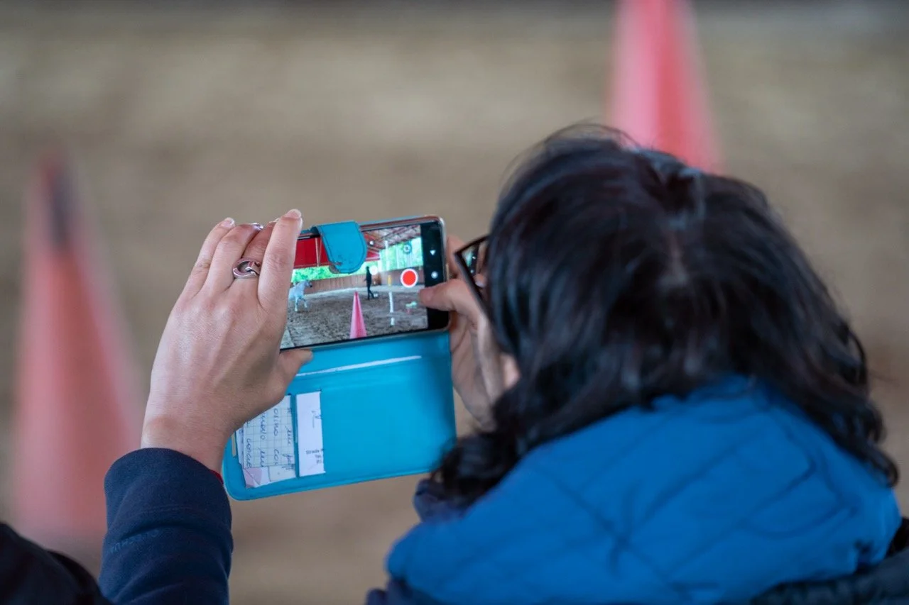 DSC06786 - dimensioni grandi.jpeg