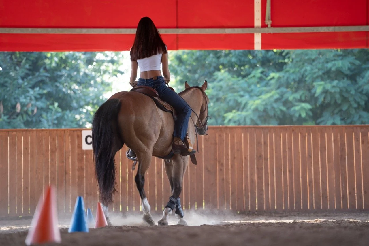 DSC07910 - dimensioni grandi.jpeg