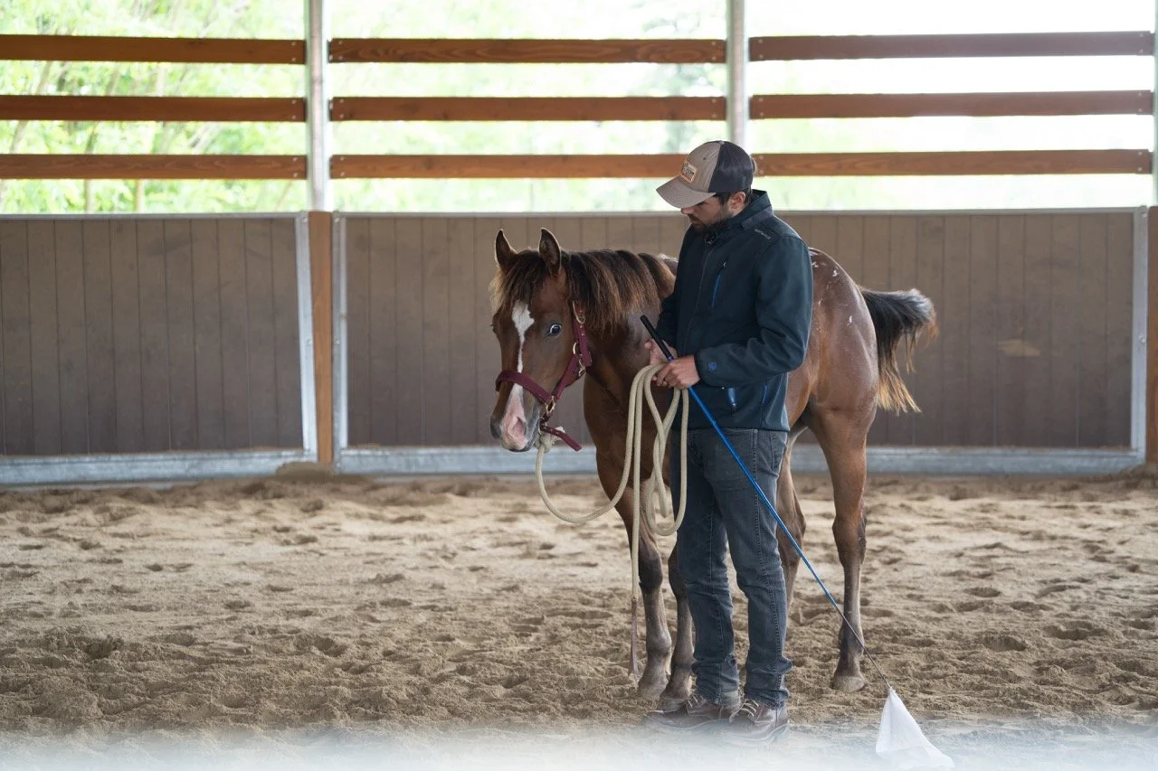 DSC06850 - dimensioni grandi.jpeg