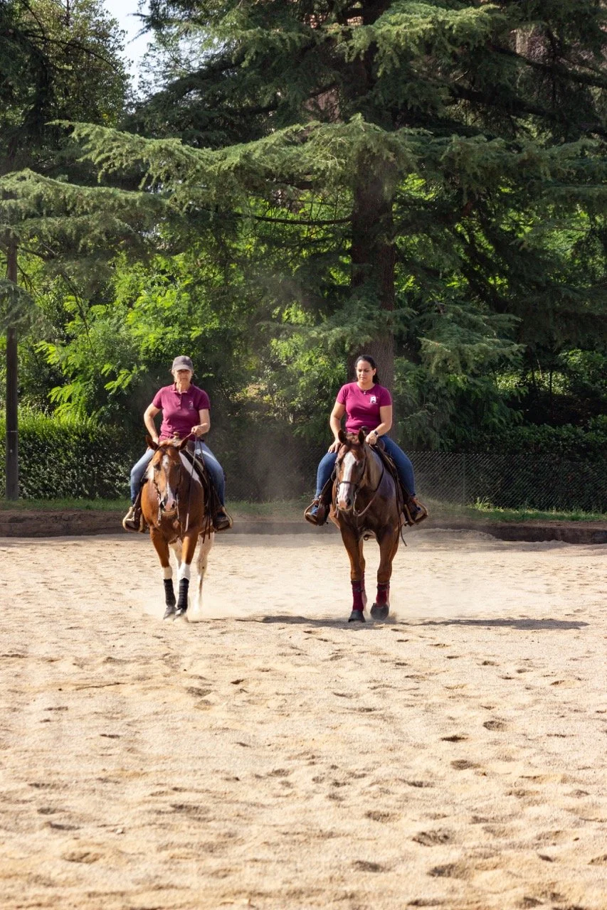 IMG_9234 - dimensioni grandi.jpeg