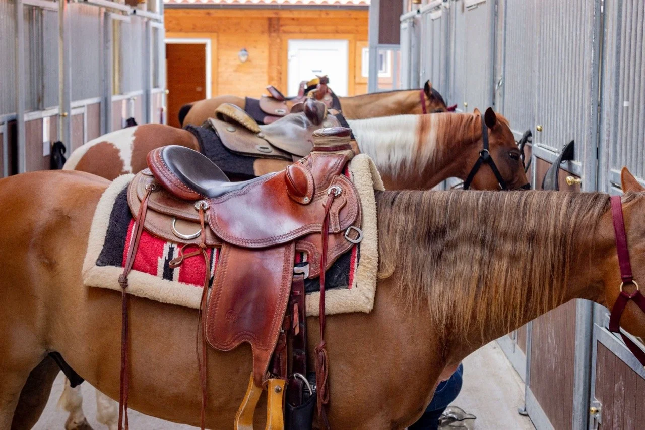 IMG_8978 - dimensioni grandi.jpeg