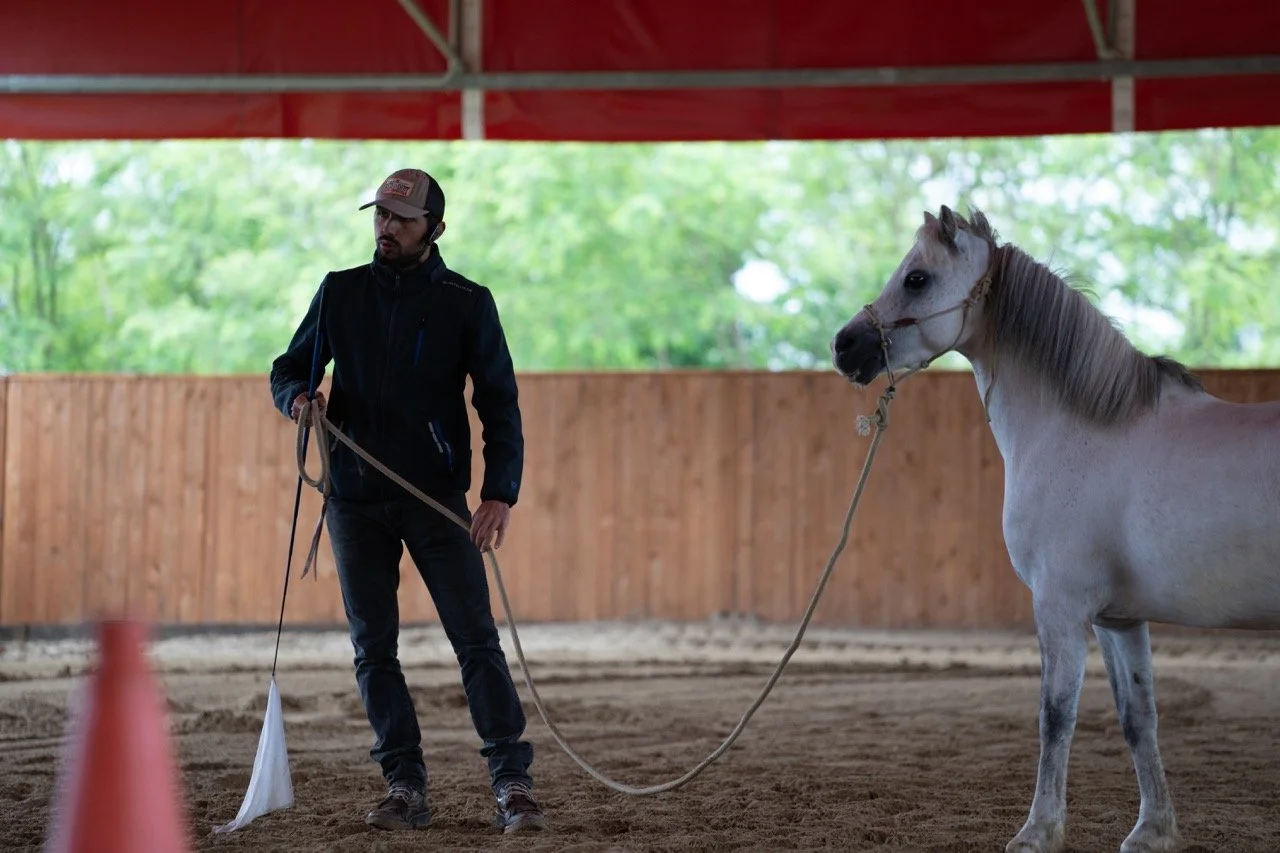 DSC06777 - dimensioni grandi.jpeg
