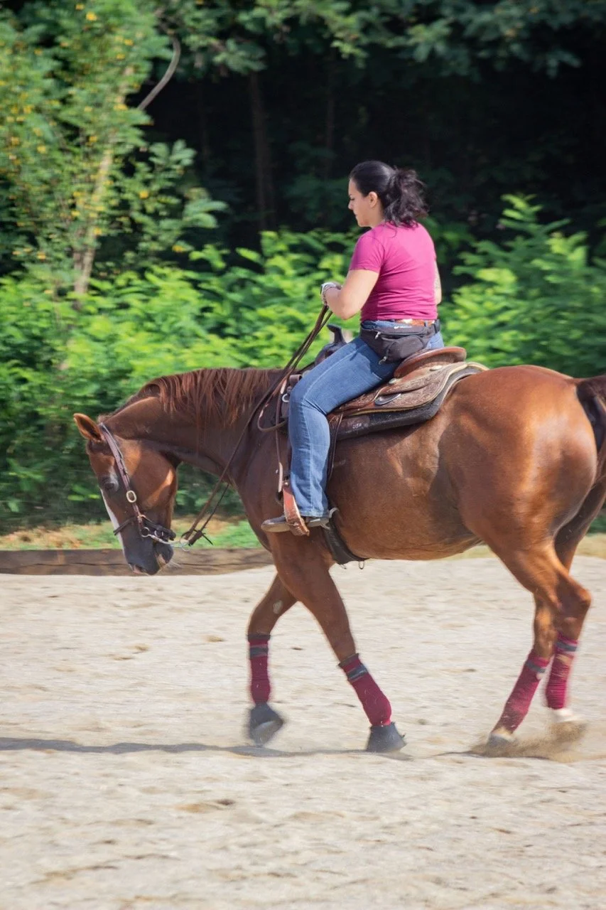 IMG_9085 - dimensioni grandi.jpeg