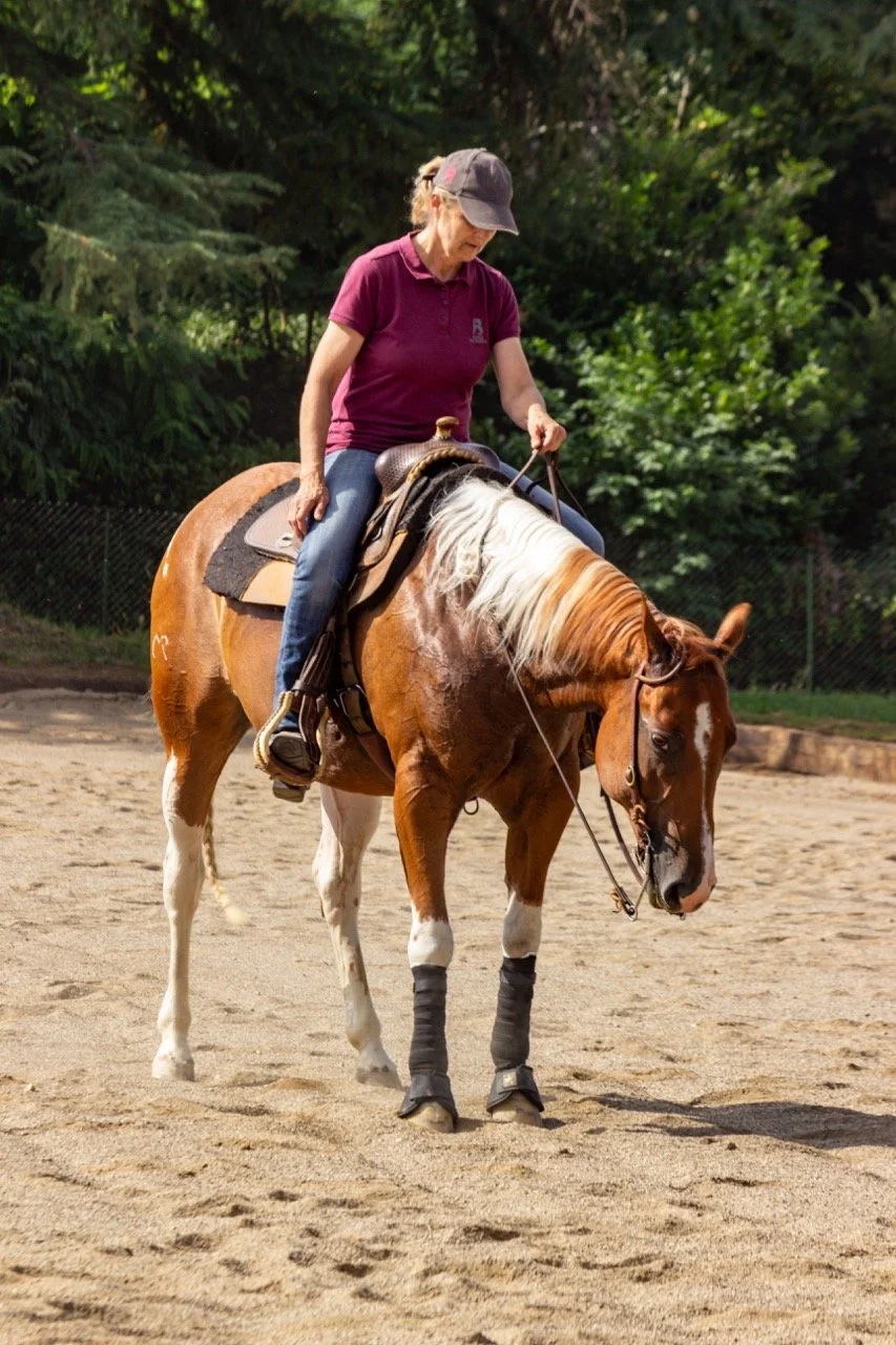 IMG_9196 - dimensioni grandi.jpeg