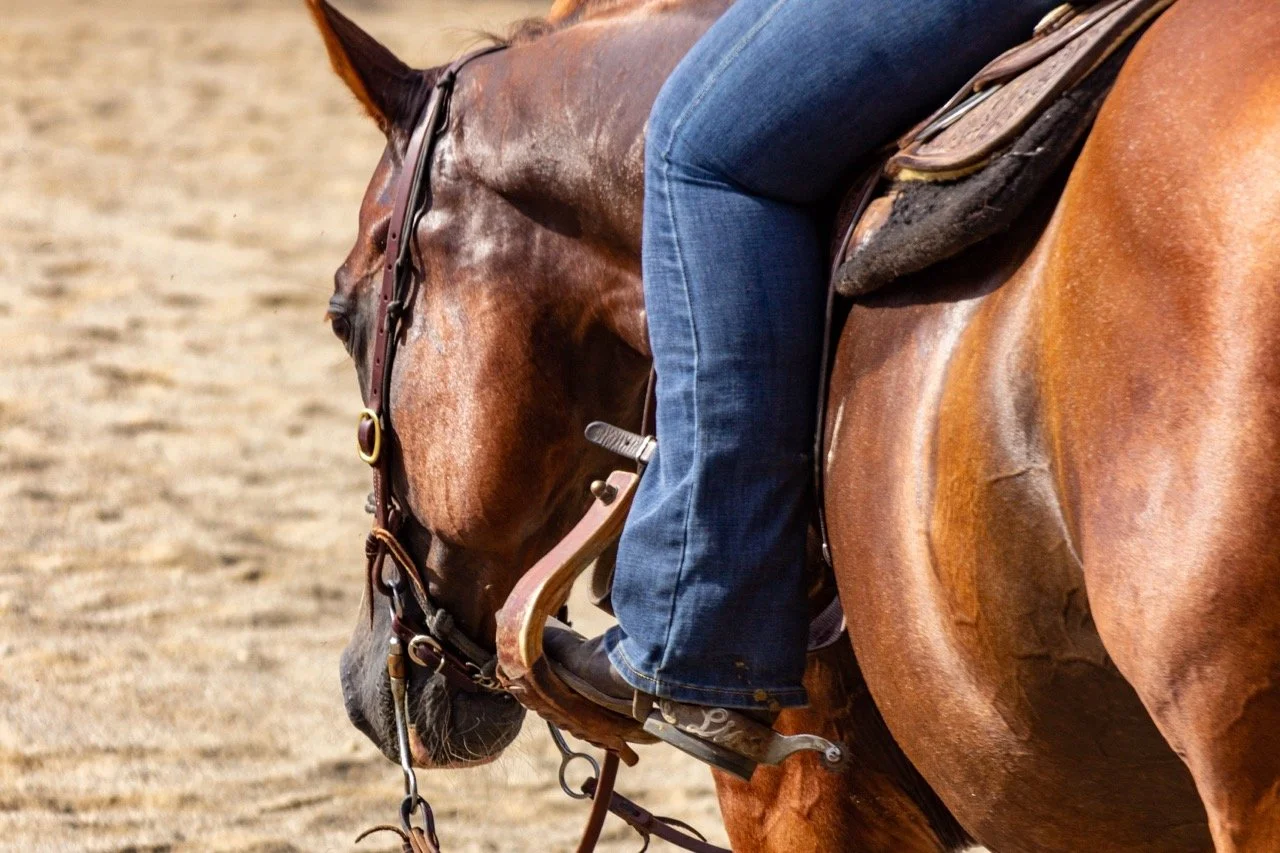 IMG_9174 - dimensioni grandi.jpeg