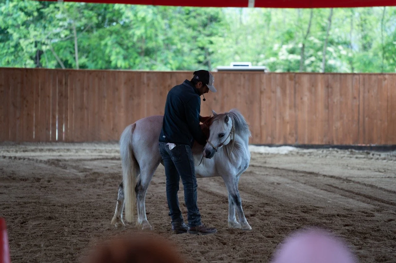 DSC06791 - dimensioni grandi.jpeg