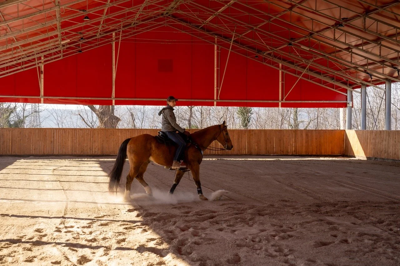 DSC05800-Enhanced-NR - dimensioni grandi.jpeg