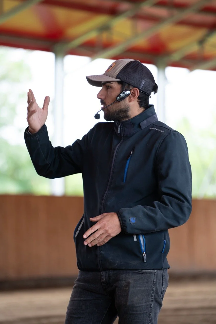 DSC06837 - dimensioni grandi.jpeg