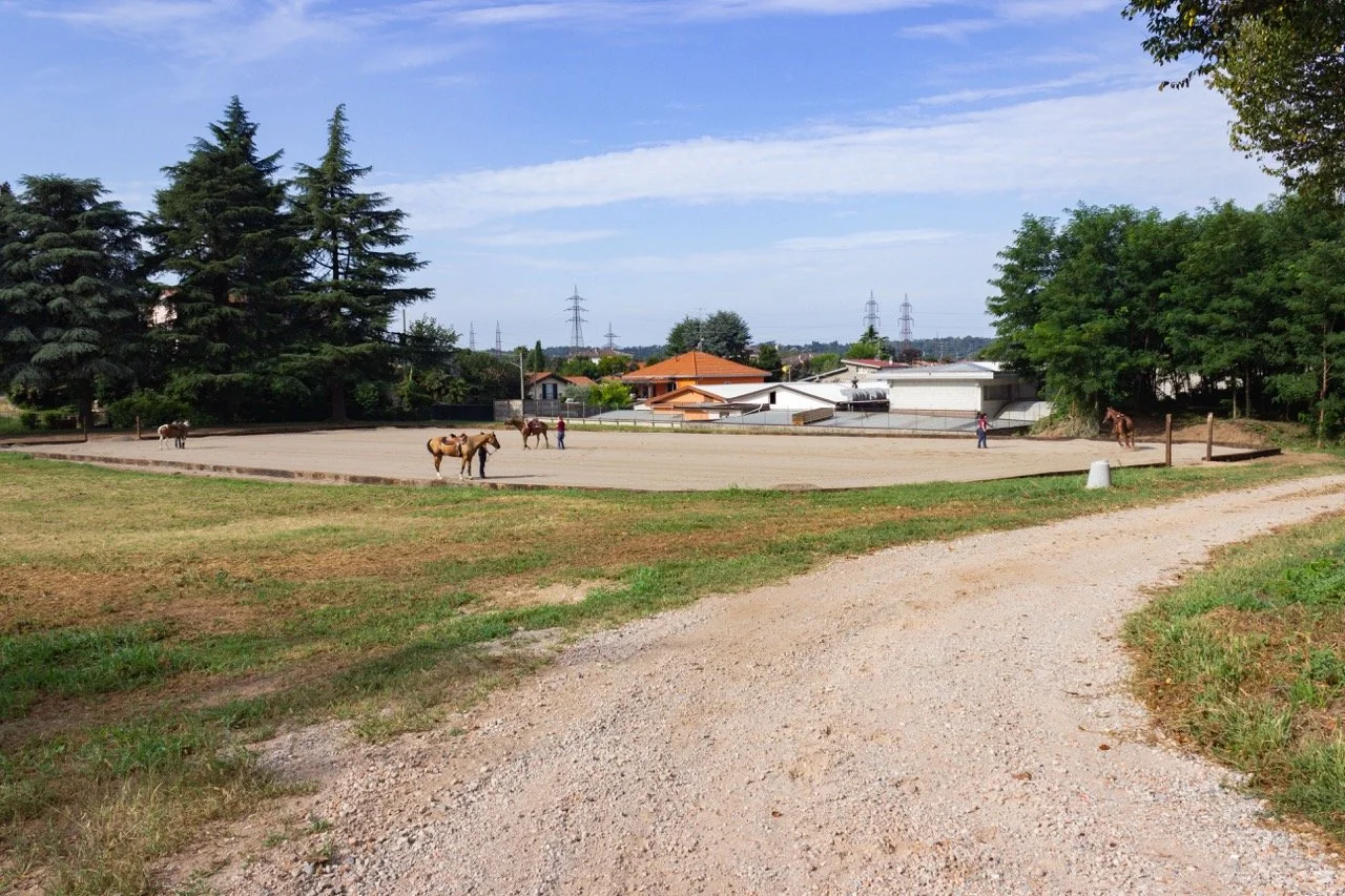 IMG_8990 - dimensioni grandi.jpeg