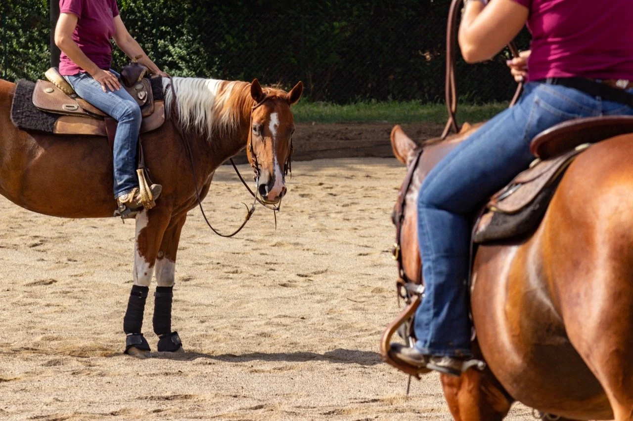 IMG_9166 - dimensioni grandi.jpeg