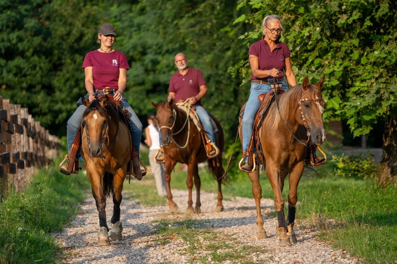 DSC08045 - dimensioni grandi.jpeg