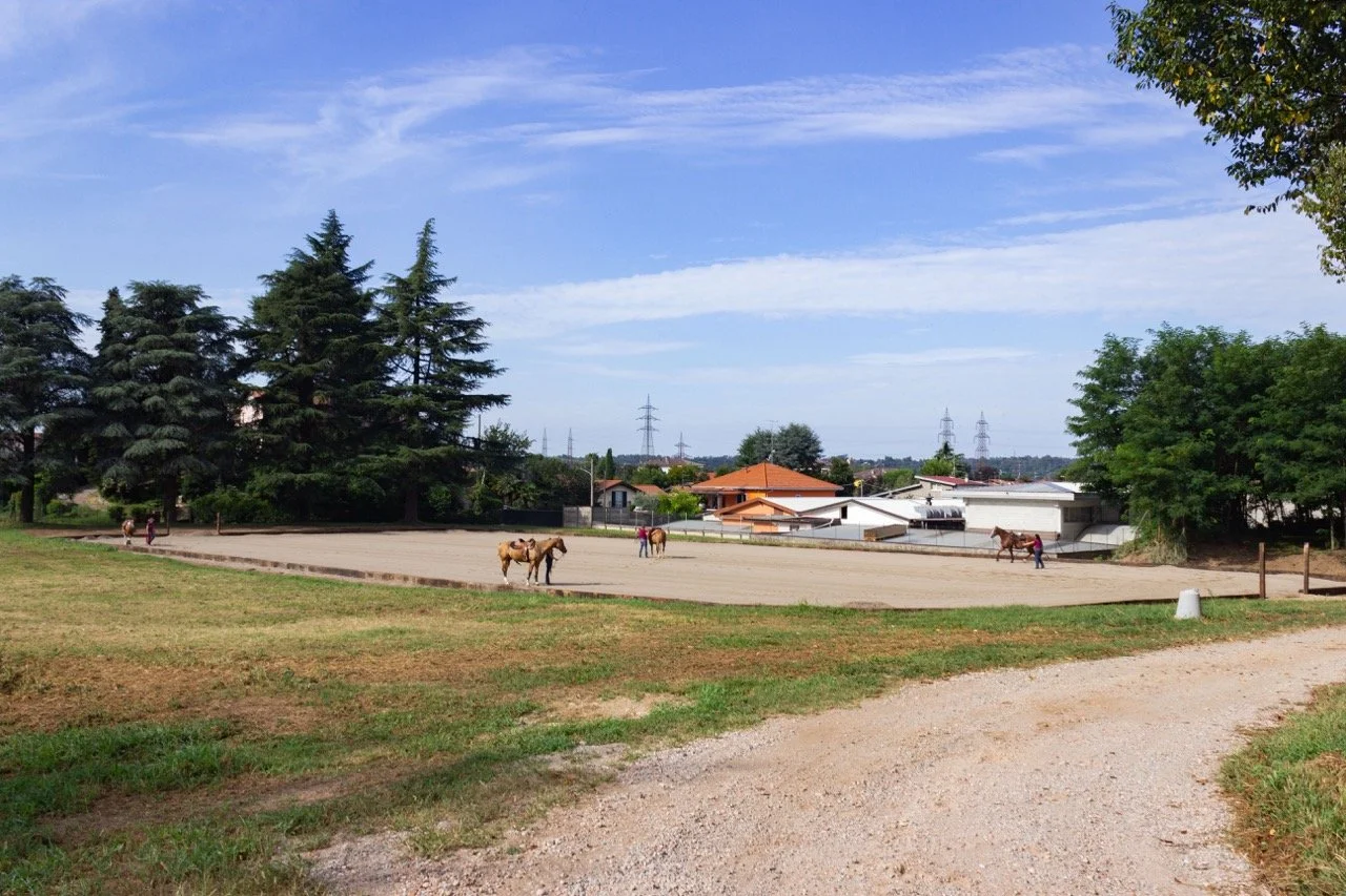 IMG_8988 - dimensioni grandi.jpeg