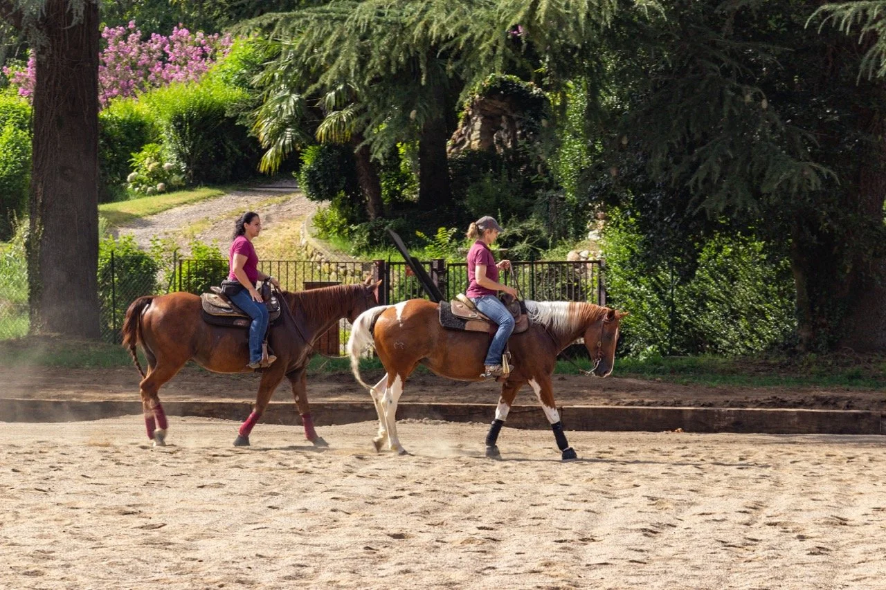 IMG_9229 - dimensioni grandi.jpeg