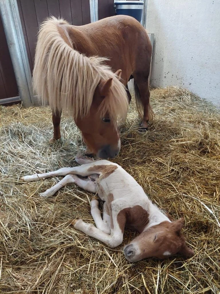 WhatsApp Image 2023-08-26 at 12.22.06 - dimensioni grandi.jpeg