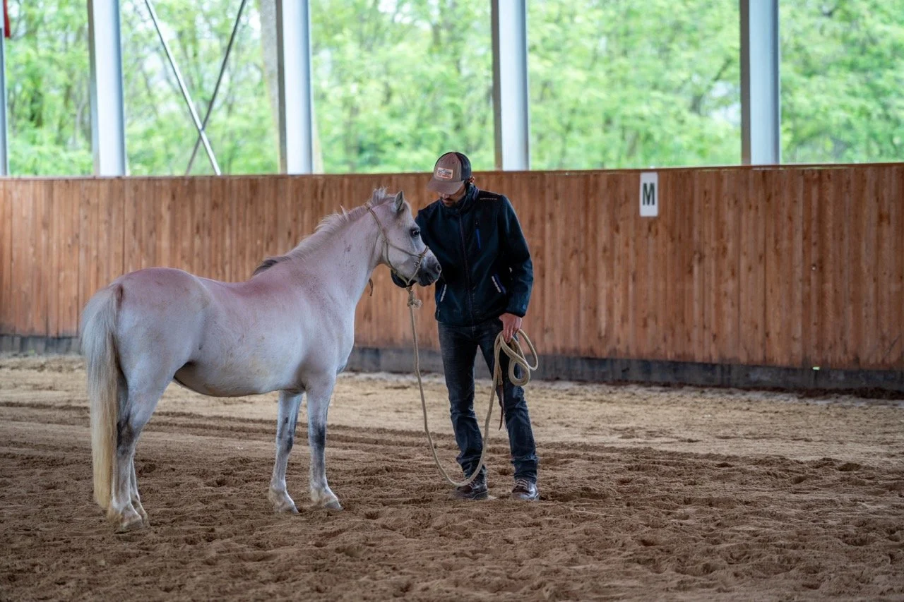 DSC06788 - dimensioni grandi.jpeg