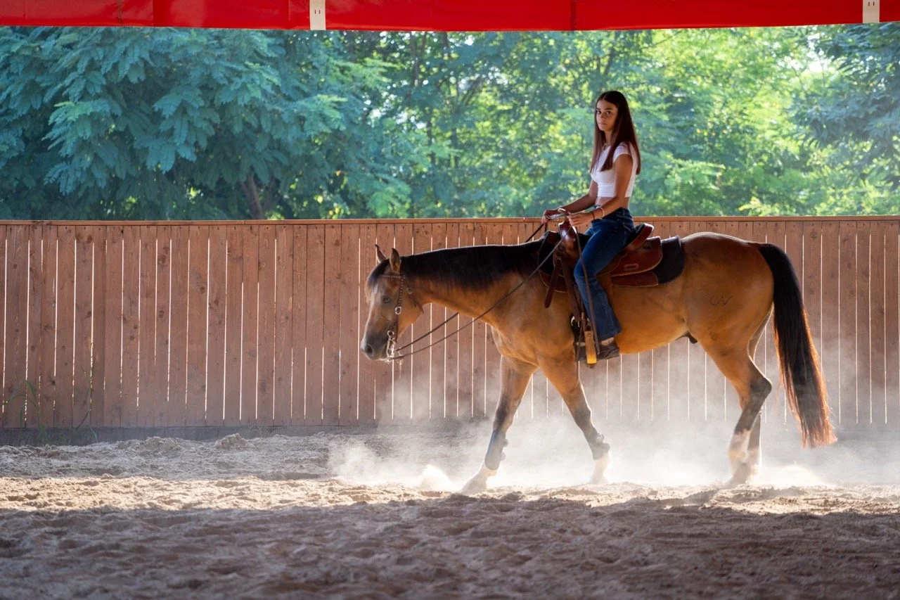 DSC07866 - dimensioni grandi.jpeg