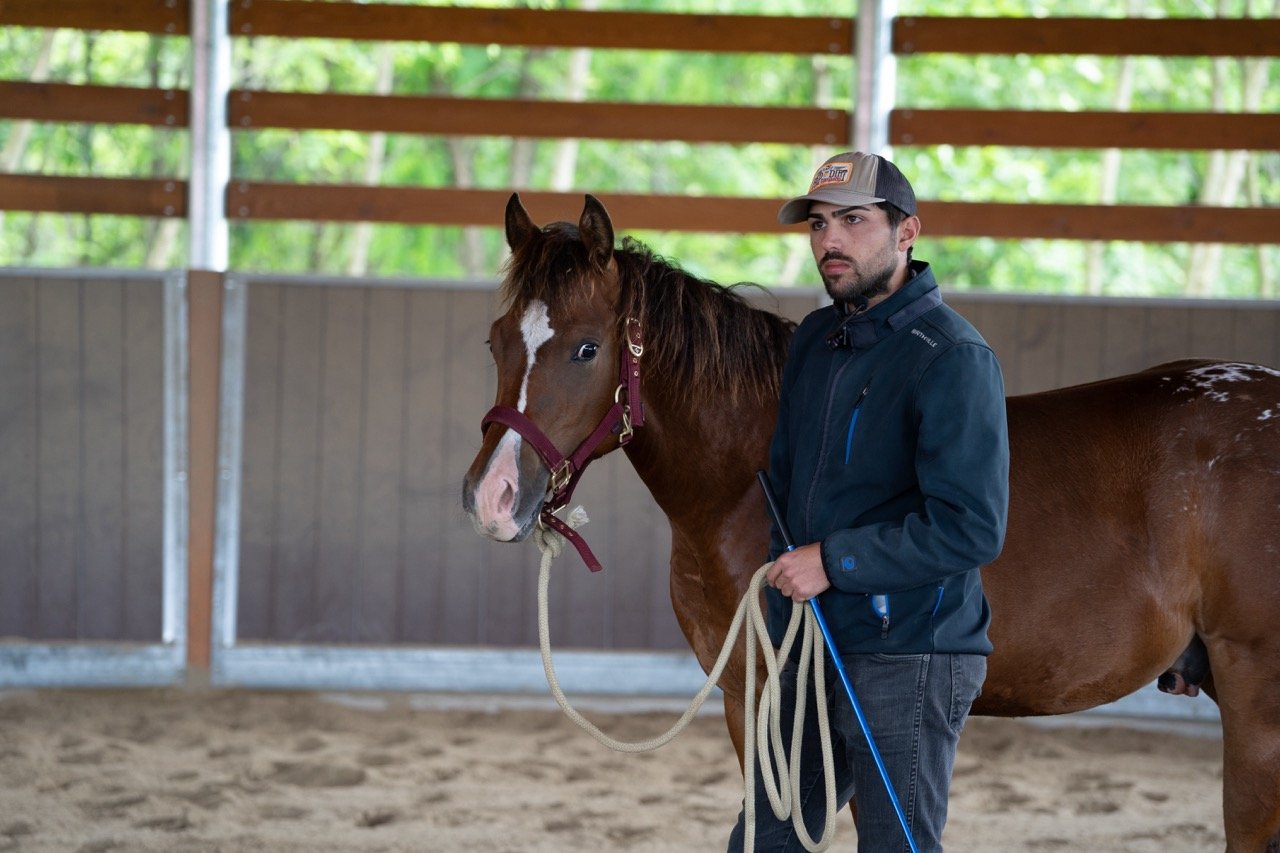 DSC06857 - dimensioni grandi.jpeg
