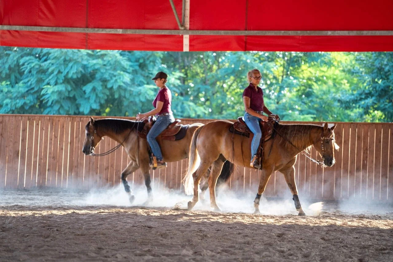 DSC08007 - dimensioni grandi.jpeg