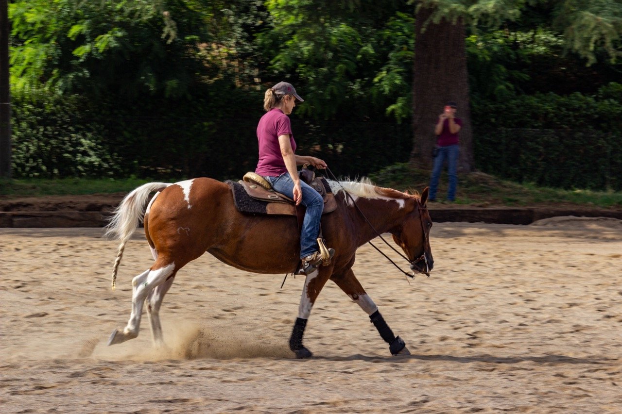 IMG_9144 - dimensioni grandi.jpeg