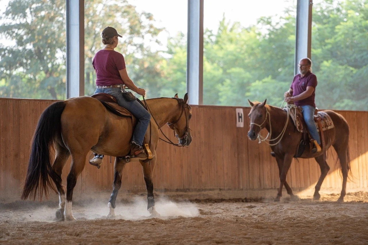 DSC08014 - dimensioni grandi.jpeg