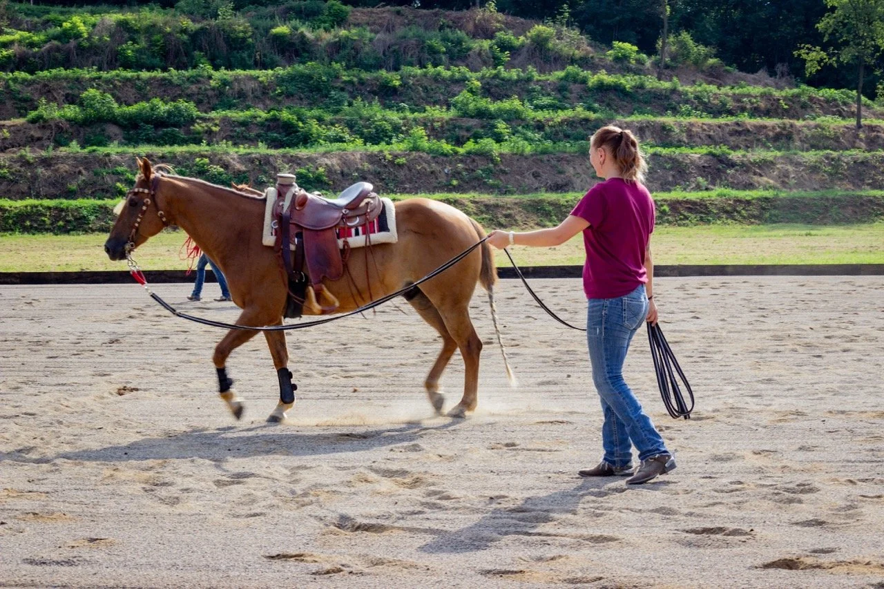 IMG_9020 - dimensioni grandi.jpeg