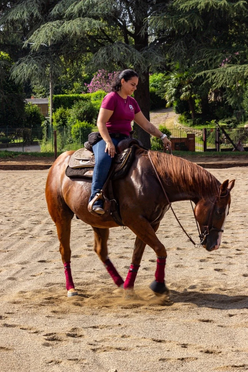 IMG_9195 - dimensioni grandi.jpeg