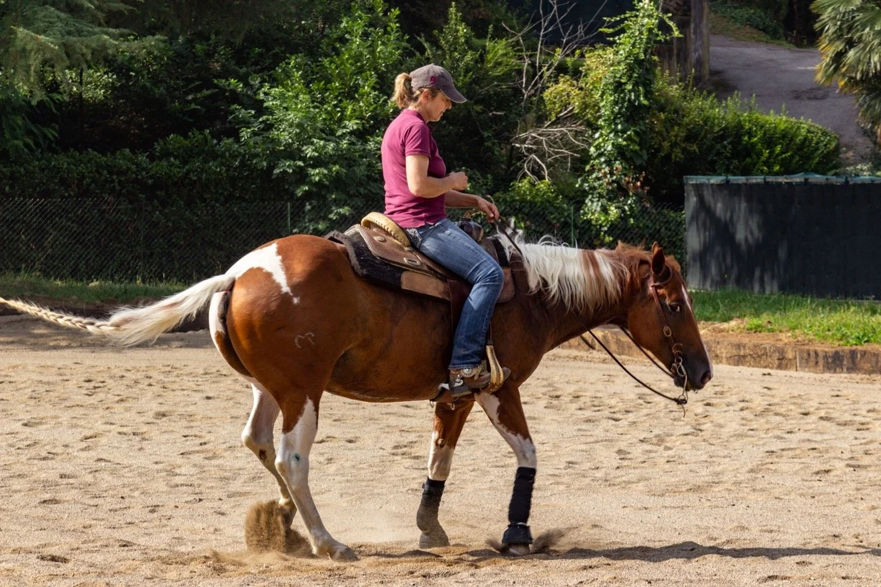 IMG_9177 - dimensioni grandi.jpeg