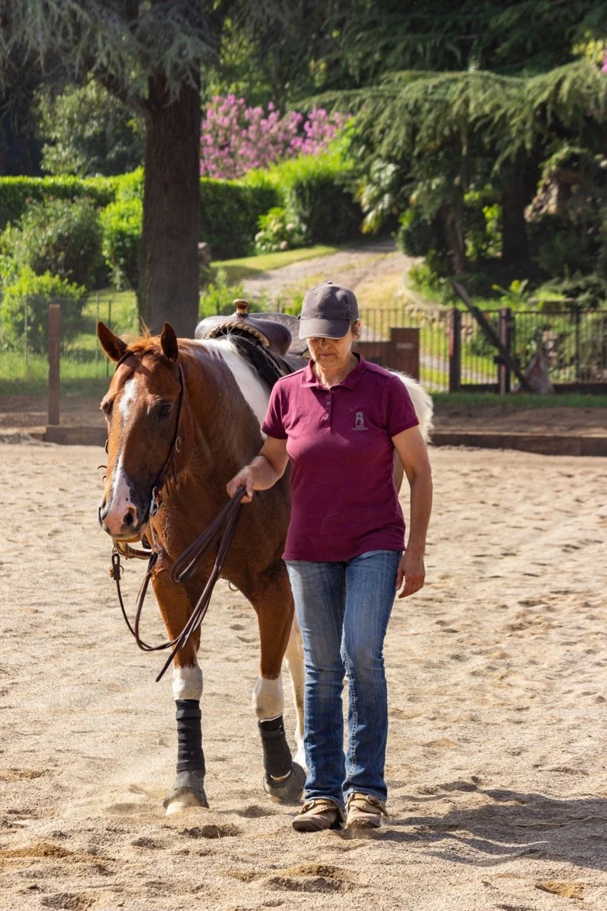 IMG_9256 - dimensioni grandi.jpeg