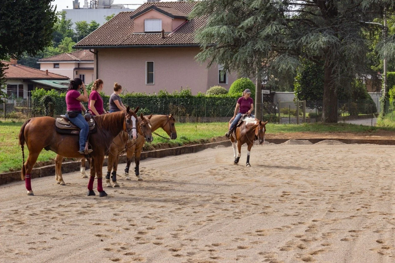 IMG_9140 - dimensioni grandi.jpeg