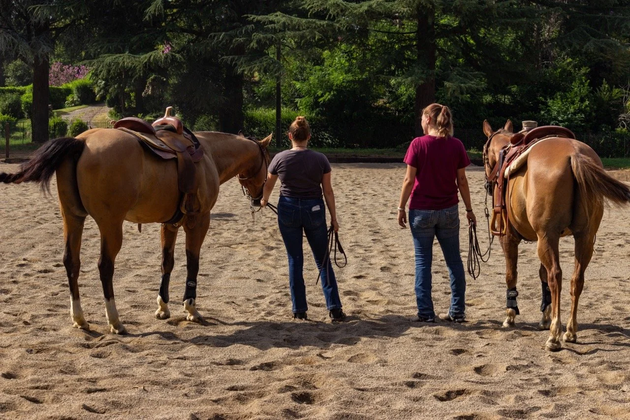 IMG_9249 - dimensioni grandi.jpeg