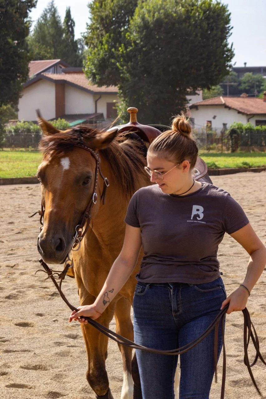 IMG_9262 - dimensioni grandi.jpeg