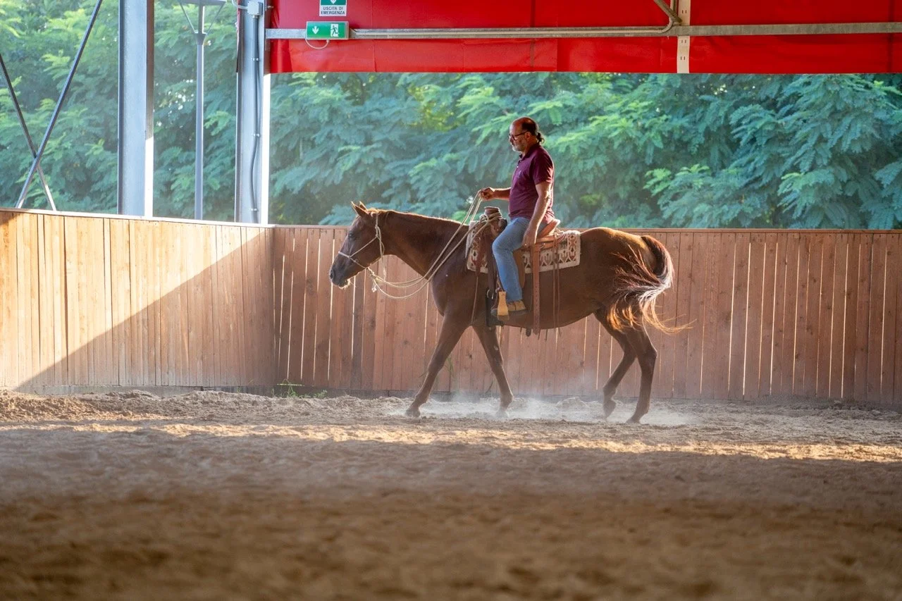 DSC08027 - dimensioni grandi.jpeg