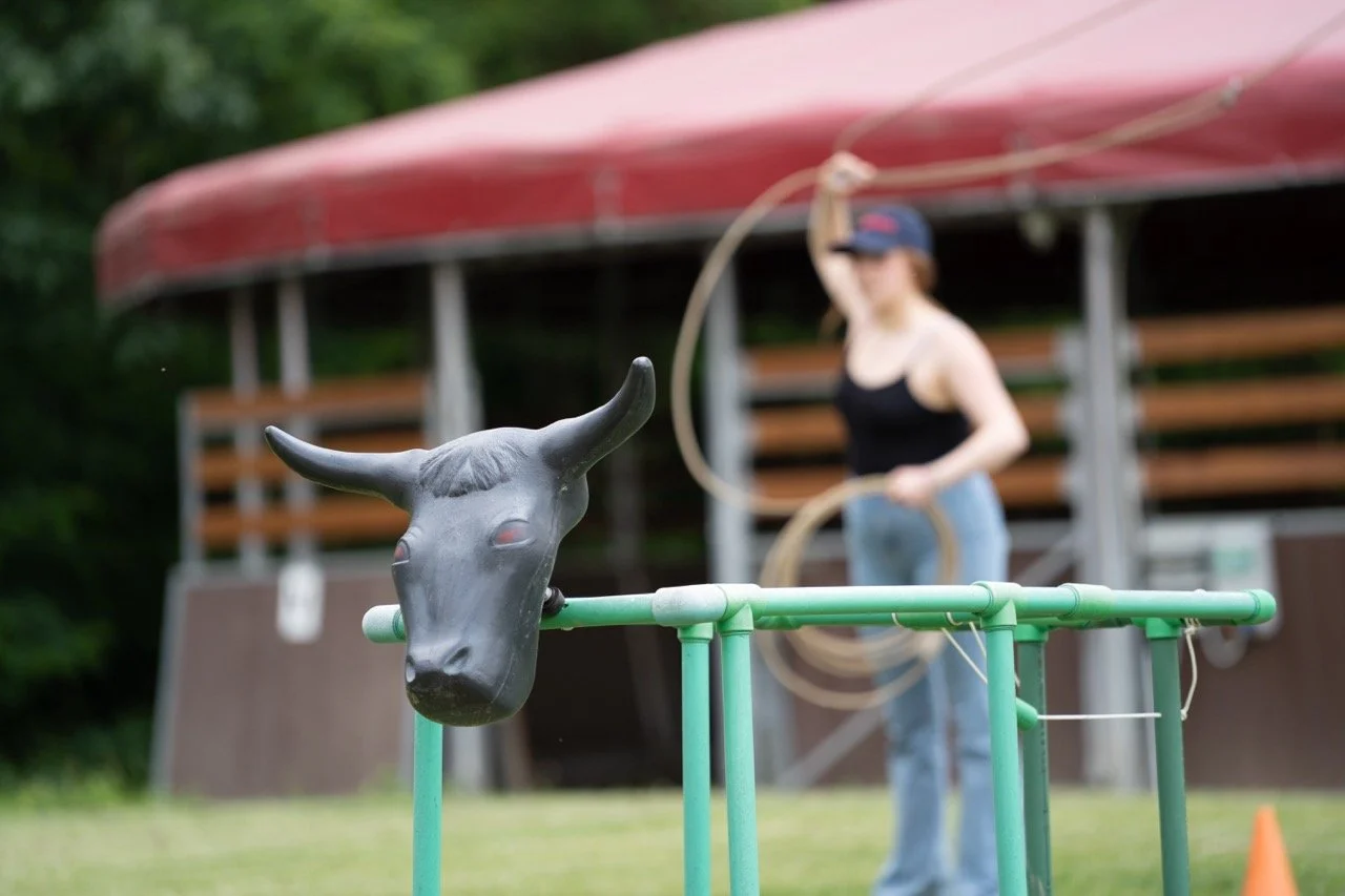 DSC07115 - dimensioni grandi.jpeg