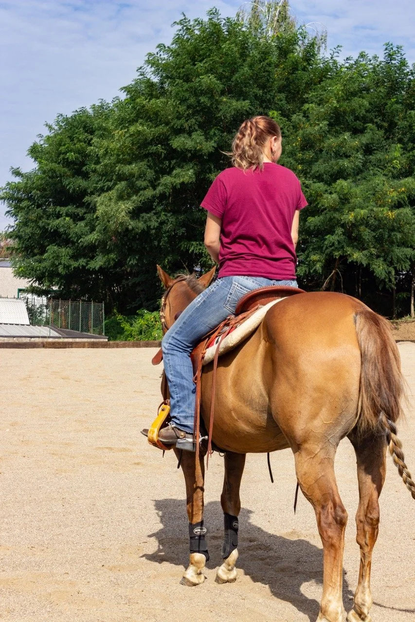 IMG_9111 - dimensioni grandi.jpeg