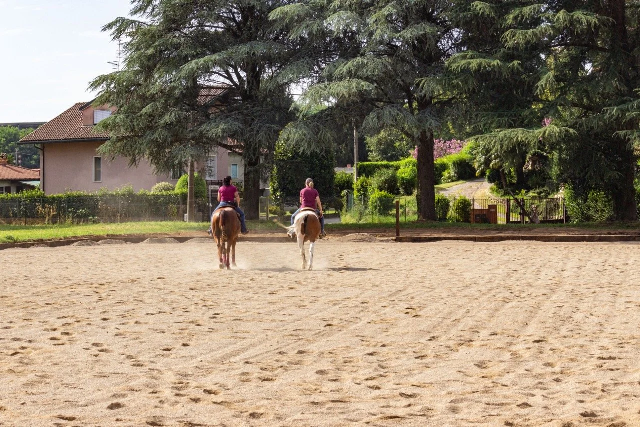 IMG_9228 - dimensioni grandi.jpeg