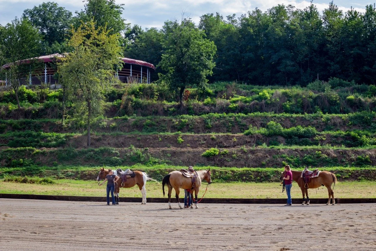 IMG_9030 - dimensioni grandi.jpeg