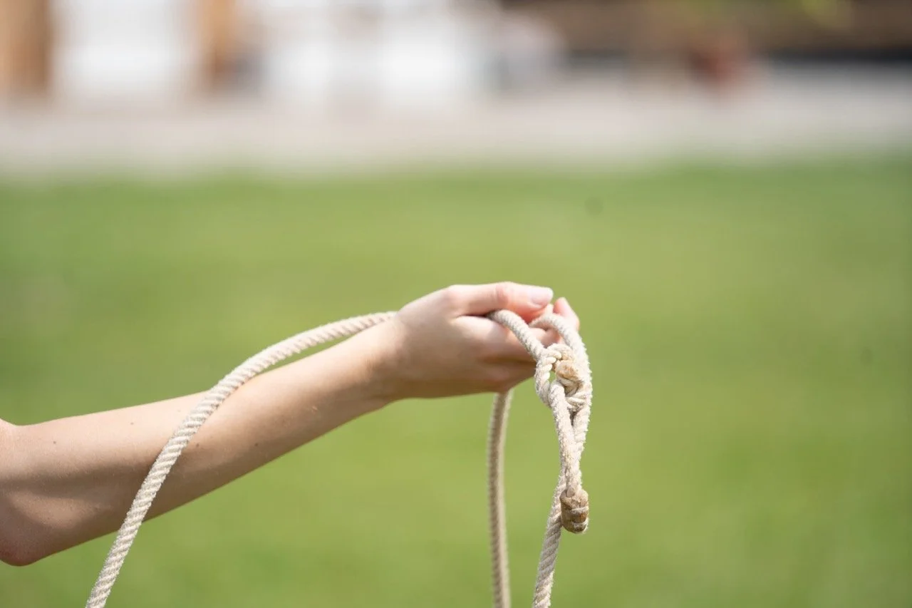 DSC07109 - dimensioni grandi.jpeg