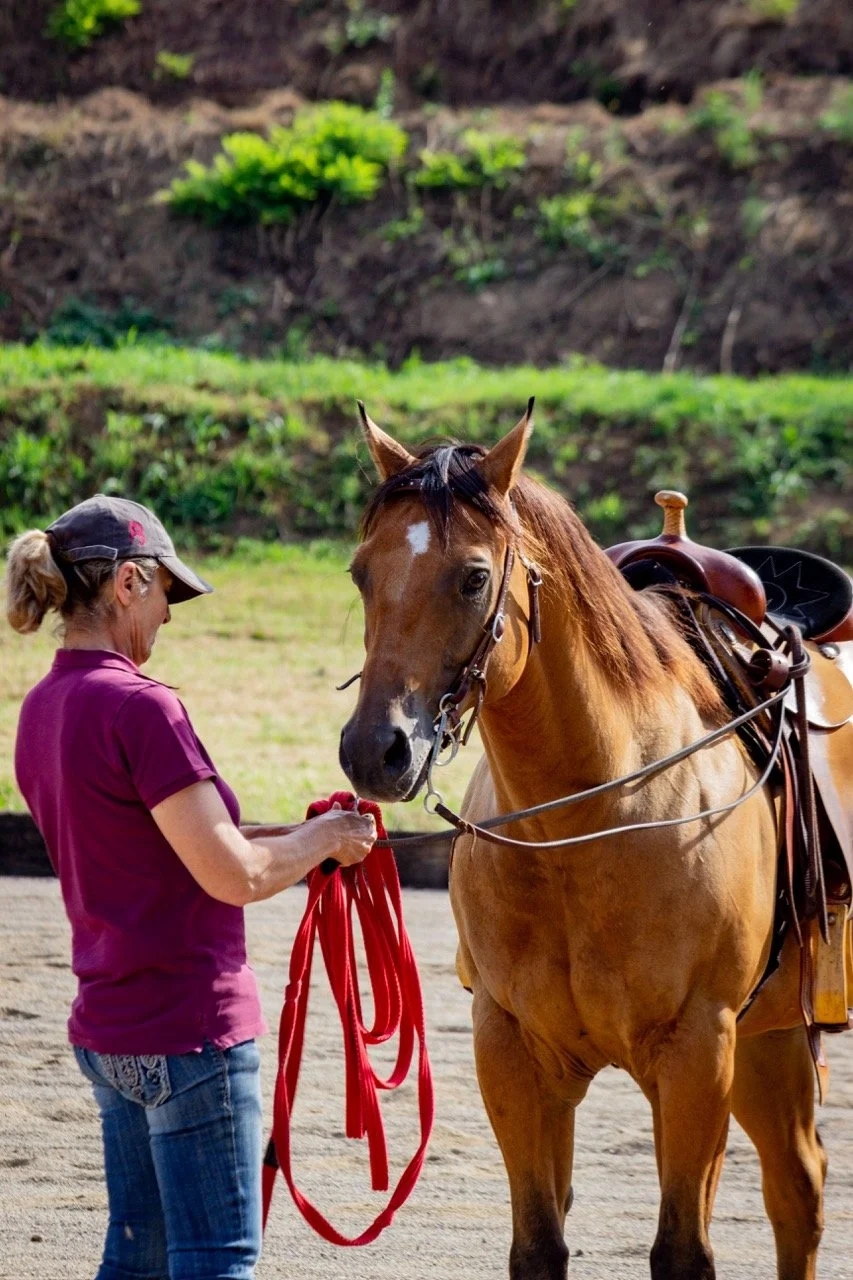 IMG_9052 - dimensioni grandi.jpeg