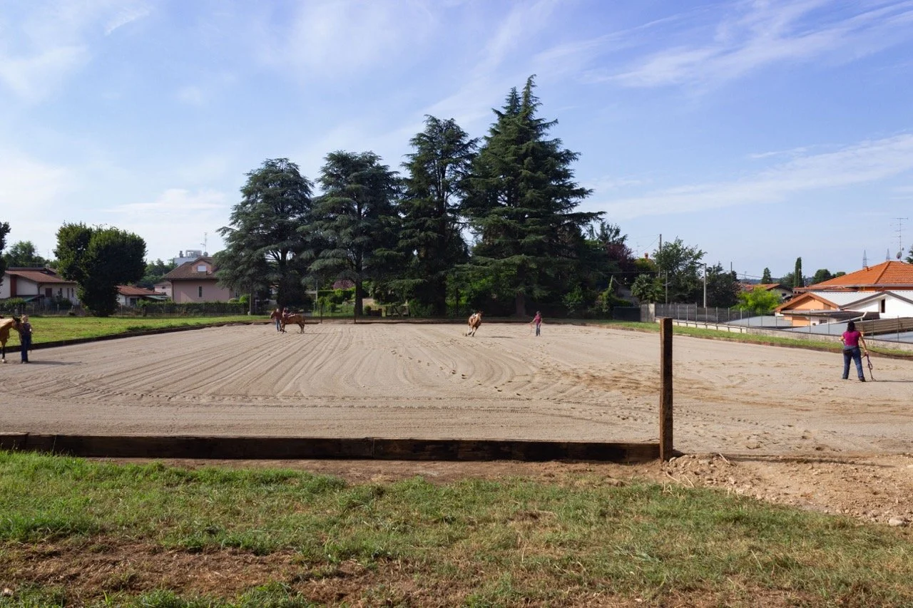 IMG_8996 - dimensioni grandi.jpeg