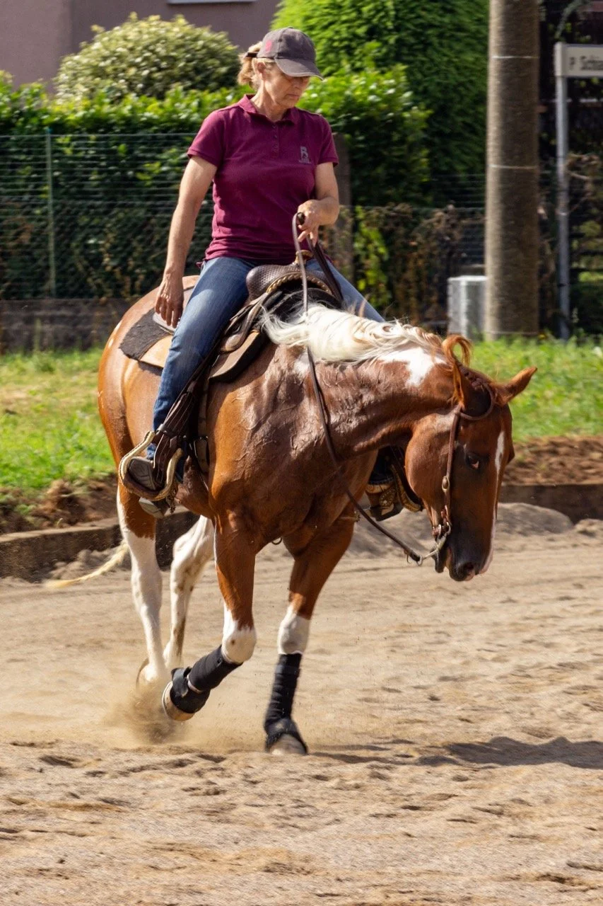 IMG_9163 - dimensioni grandi.jpeg