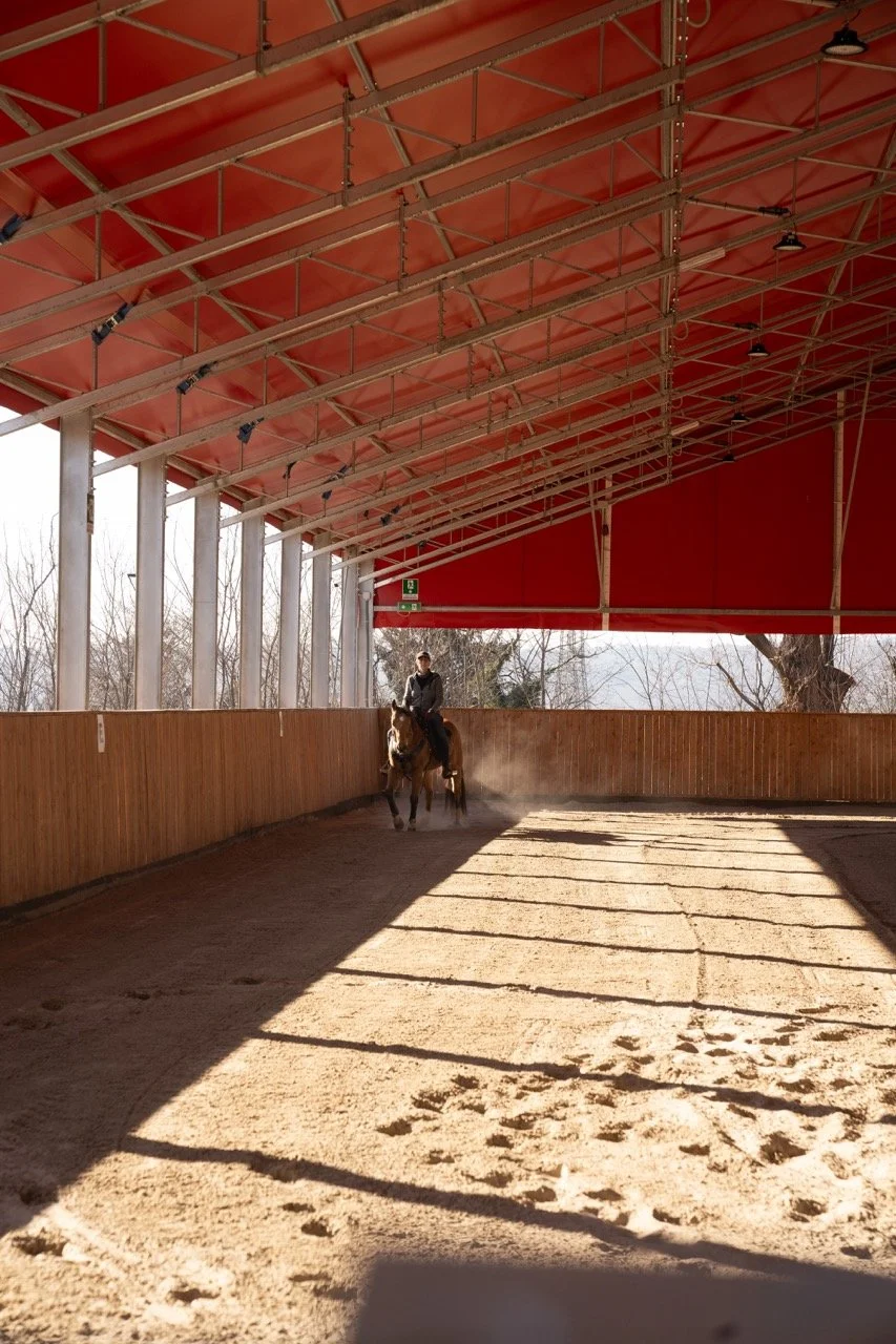 DSC05798 - dimensioni grandi.jpeg