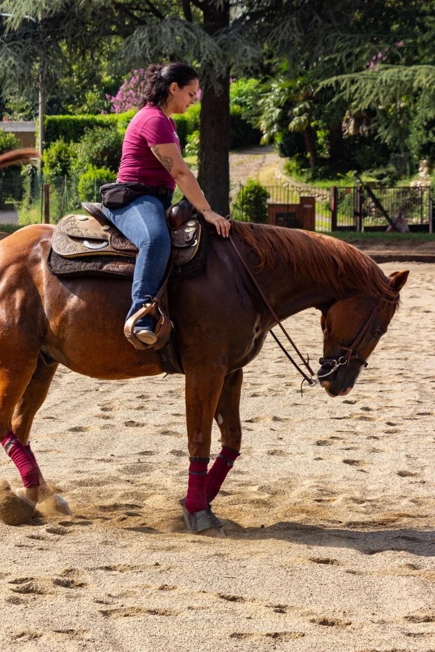 IMG_9193 - dimensioni grandi.jpeg