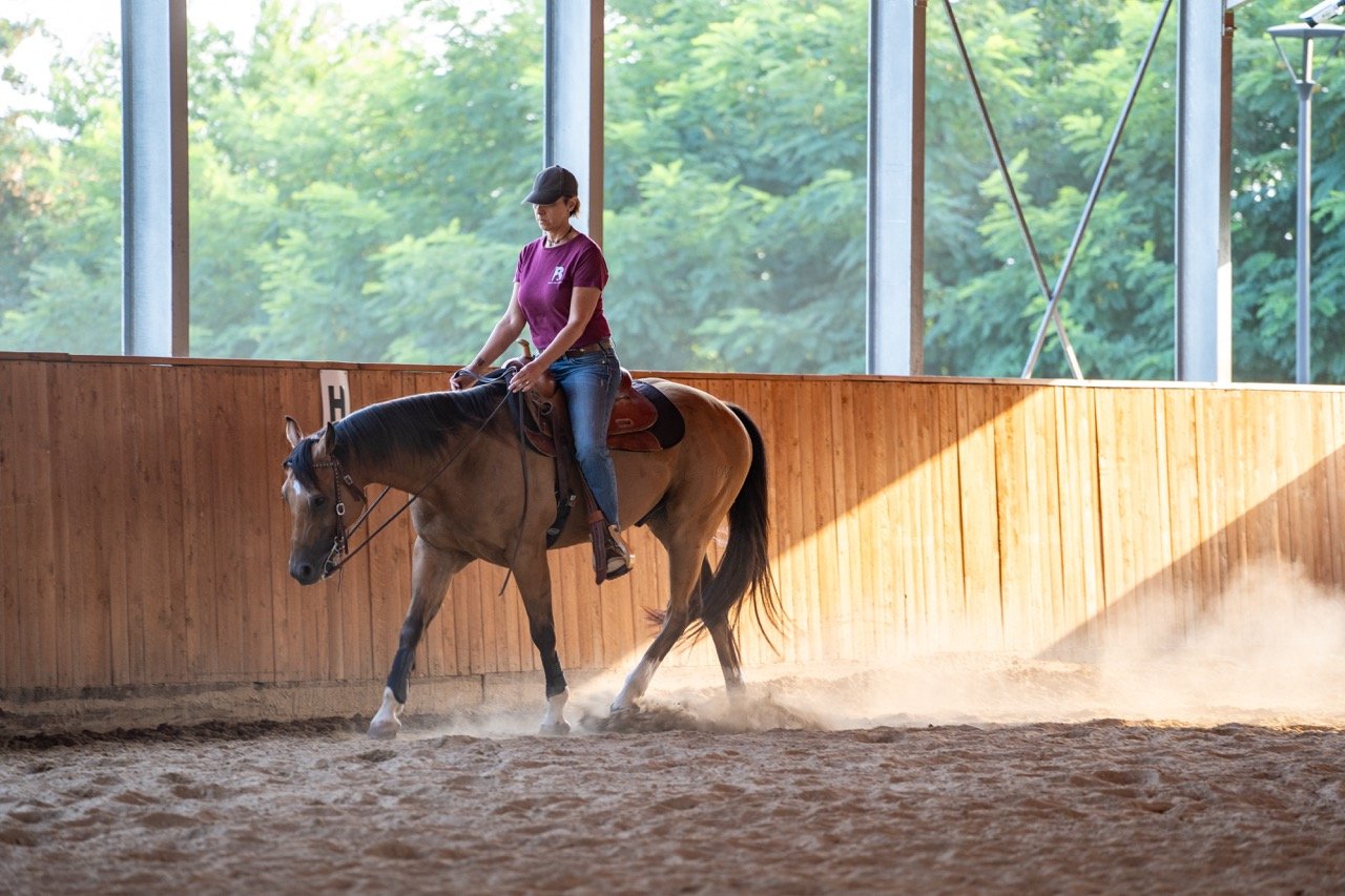 DSC07997 - dimensioni grandi.jpeg