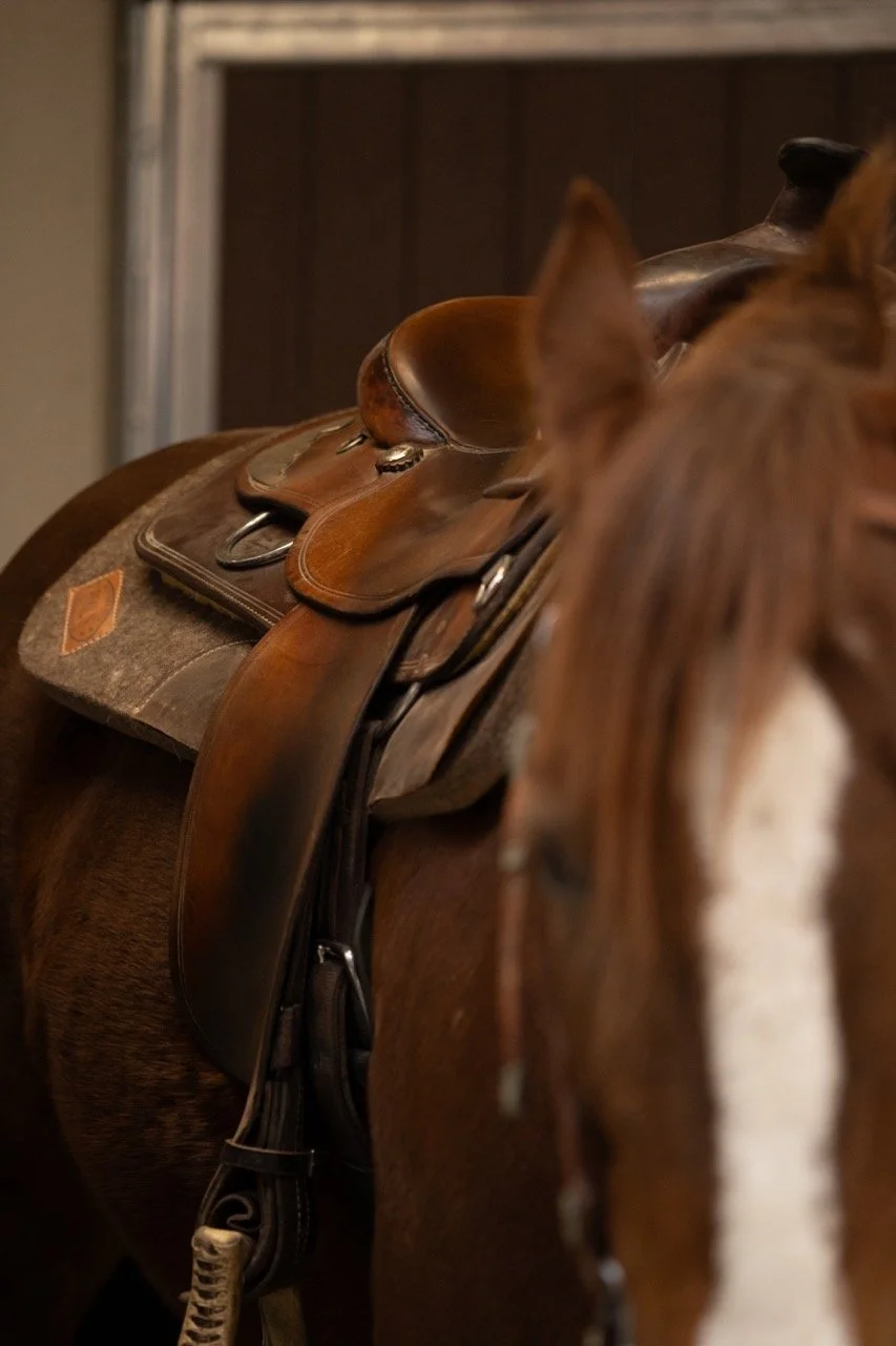 DSC05225 - dimensioni grandi.jpeg