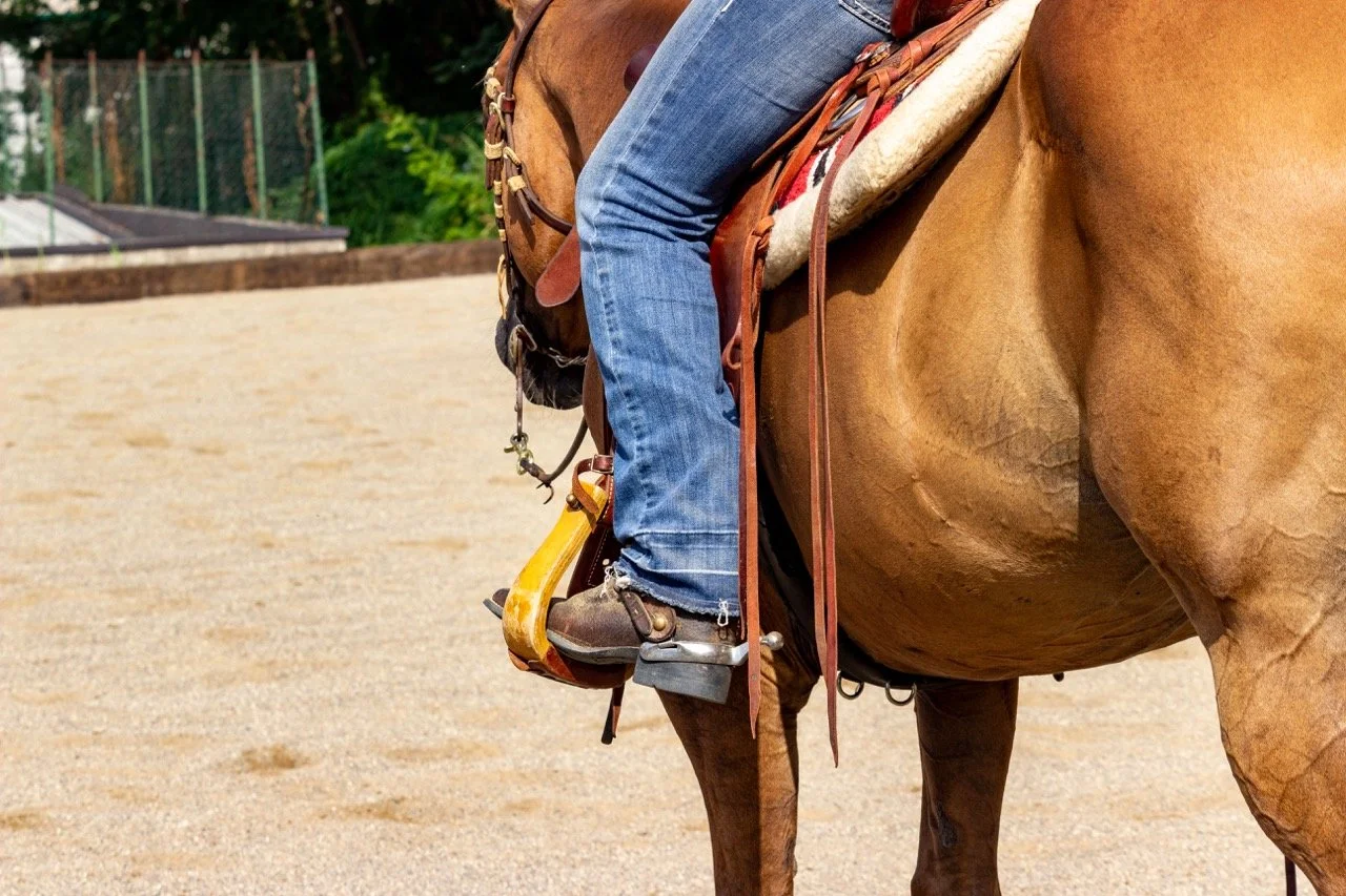 IMG_9120 - dimensioni grandi.jpeg